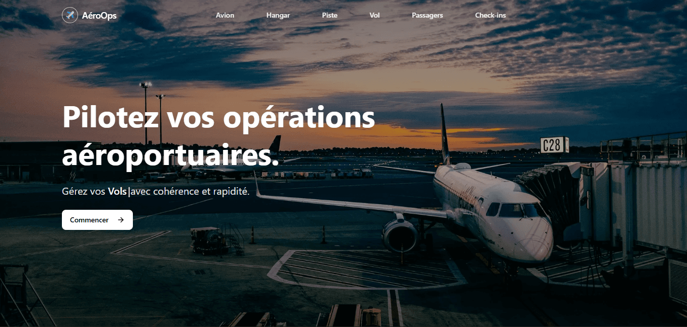 Airport Landing page